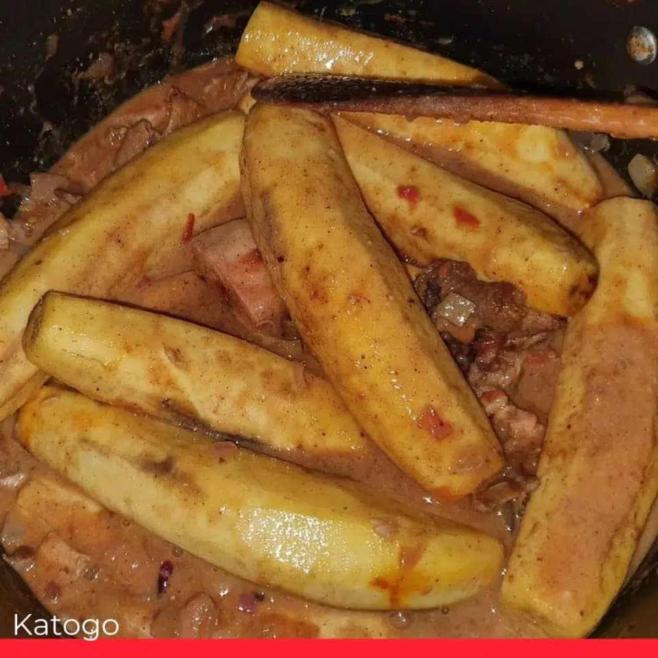 Katogo